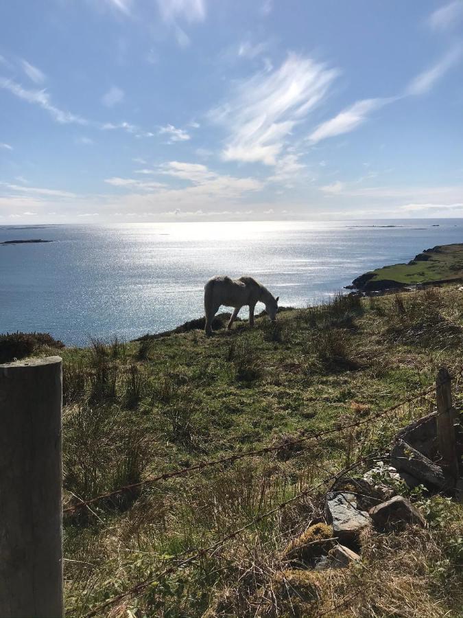 Seafield House Clifden